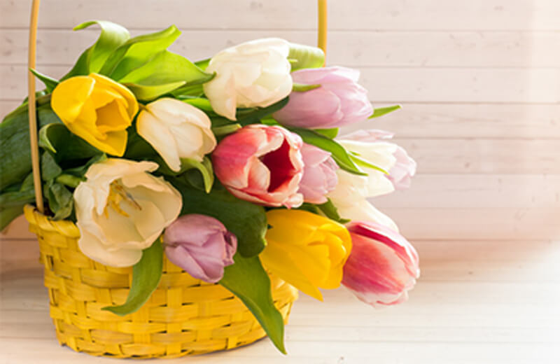 Seasonal Flower Arrangements